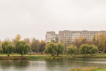 Grassy shore of the lake with residential buildings in the distance, on a cloudy day, autumn weather.