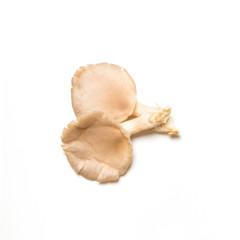 Overhead view of mushrooms isolated on white background