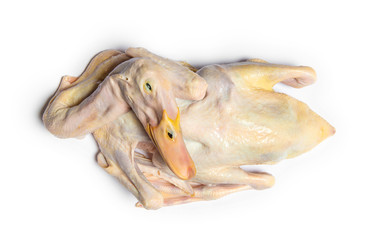 A raw duck ready for cooking on white background