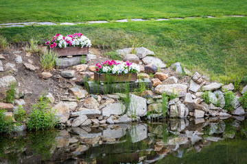 Unusual beautiful flower bed
