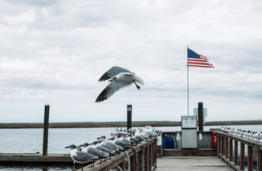 flag on the pier