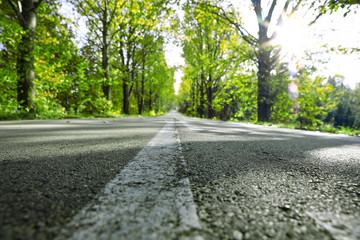 Spring road and free space for your decoration. 