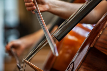 musician playing the cello
