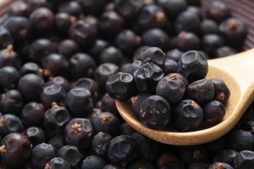 Image of juniper