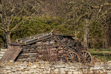 Alte abgelagerte Baumstämme © focus finder