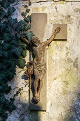 Beautiful rusty Jesus Christ crucifixion statue during sunset partly covered with common ivy, hedera helix on old wall, Olsany cemetery, Prague, Czech Republic, sunset on sunny day
