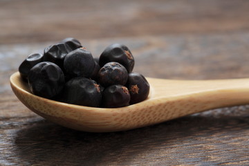 Image of juniper