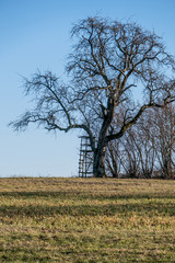 Hochsitz