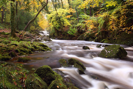 River erme Dartmoor in autumn