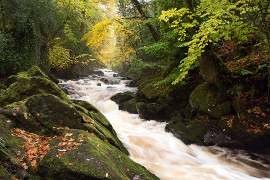 River erme Dartmoor in autumn