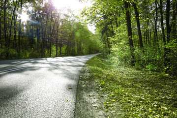 Fototapeta premium Spring road and free space for your decoration. 