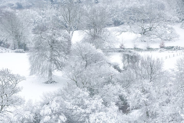 Frozen winter landscape with trees 