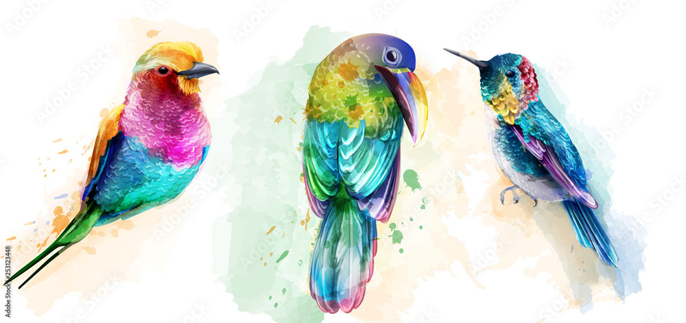 Wall mural Colorful tropic birds watercolor Vector. Beautiful parrots, humming bird exotic set collections