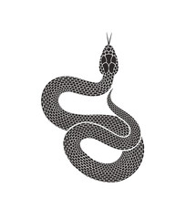 Snake logo. Isolated snake on white background