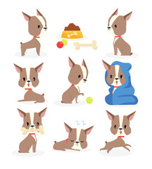 Vector illustration set of funny puppy in different actions and positions, dog daily routine collection, cute little puppy s everyday activity in cartoon flat style.