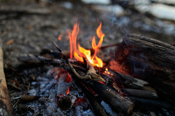 Flame red bonfire in the forest in spring