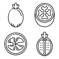 Feijoa icons set. Outline set of feijoa vector icons for web design isolated on white background