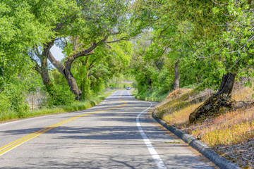 Rural Road in Central California