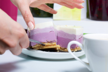 Blueberry cheesecake. A woman puts a piece of ready-made dessert on a saucer. Jelly layers of different colors are visible.