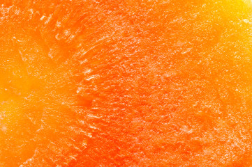 Vegetable abstract background. Super macro shot of fresh carrot. Detailed background with fibers, enhanced texture and translucency.