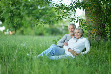 Naklejka na ściany i meble Portrait of senior couple in the park