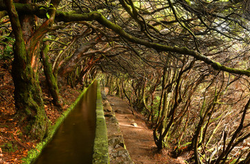 Landscape of madeira island - levada path