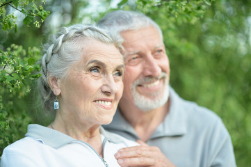Portrait of beautiful smiling senior couple in the park