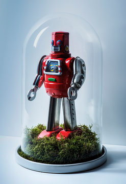 Toy robot in bell jar garden