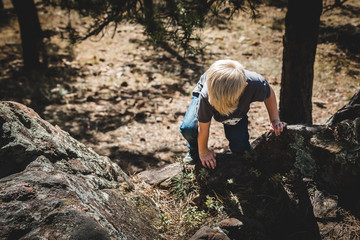 Young boy climbing rocks in the forest.