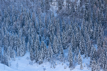 Mount Grappa in Italy