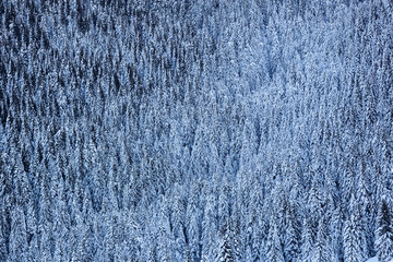 Mount Grappa in Italy