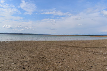 Pong Dam Lake Wildlife Sanctuary , Himachal Pradesh 