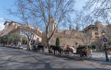 mallorca Kutschen vor kathedrale