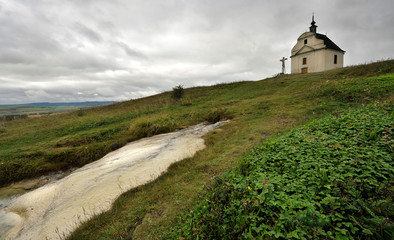 Fototapeta premium Sivá Brada