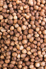 Coriander spice dry seeds. Textured food background. Top view
