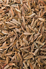 Cumin fragrant spice dry seeds. Textured food background. Top view