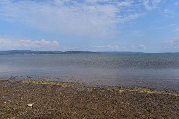 Pong Dam Lake Wildlife Sanctuary  ,Himachal Pradesh