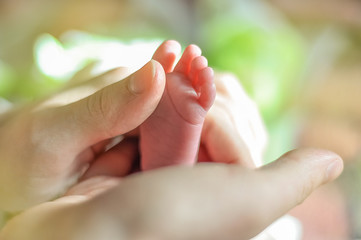 Baby s feet closeup picture. Mother s hands holding child s foot. Little girl s fingers at front.