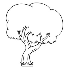 line drawing doodle of a summer tree