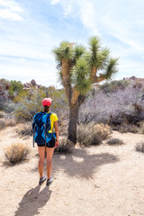 Young woman admiring a Joshua Tree in Joshua Tree National Park, California, USA. Adventure and travel concept.