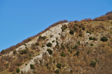 Fototapeta na wymiar Rocce nel parco del monte Cucco