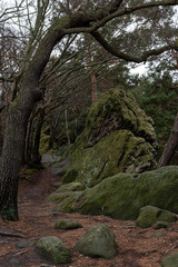 Teufelsmauer Gradweg
