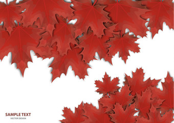 Abstract background from a variety of bright maple leaves on a white background. Stylish modern design for flyers, posters, flyers, banners. Vector illustration