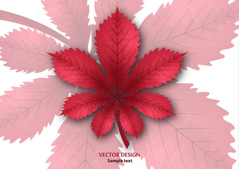 Bright isolated horse chestnut leaf on a white background. Vector illustration for your design.