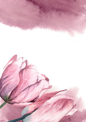 watercolor pink tulips with rose paint splash on white background for greetings card