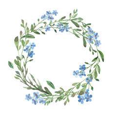 akwarela niebieski wieniec Niezapominajka z zielonymi liśćmi na białym tle - 253136475