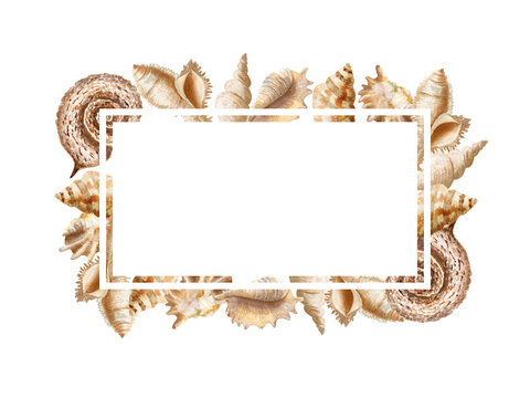 Watercolor rectangular frame with seashells and place for text