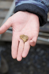 A man shows a gold nugget on his hand
