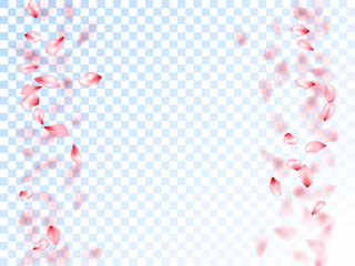 Japanese cherry petals on transparent background.