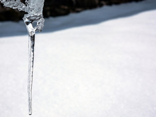 Fototapeta na wymiar Icicle with Snow Background